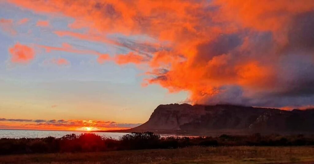 FB_IMG_1682418716440